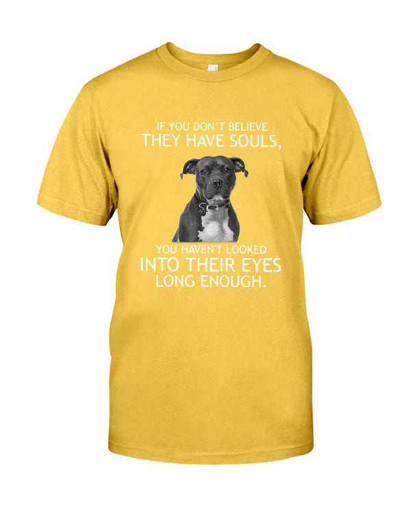 If you don't believe they have souls Pit bull