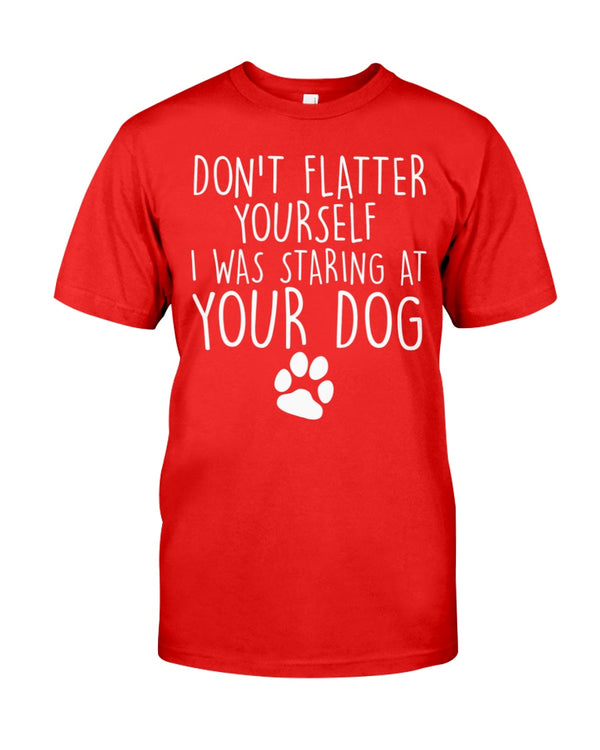 Don't flatter yourself I was staring at your dog