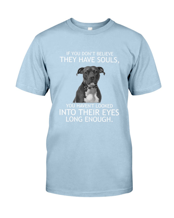 If you don't believe they have souls Pit bull