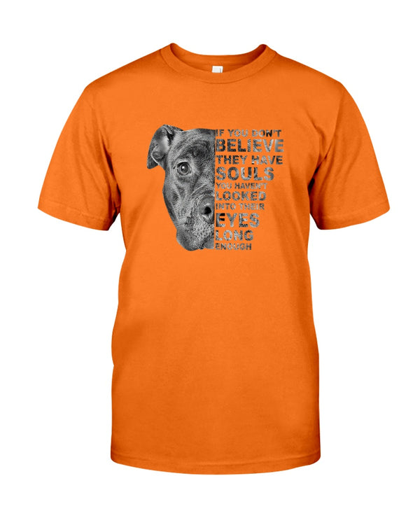 Pitbull If You Don't Believe They Have Souls Dog Rescue